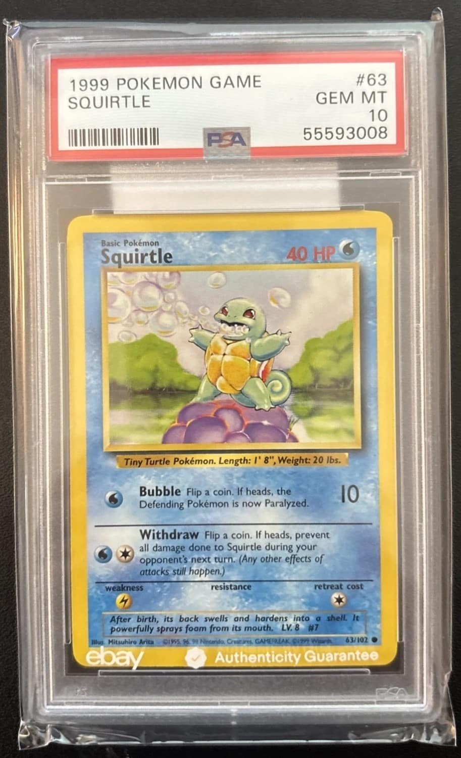 Squirtle