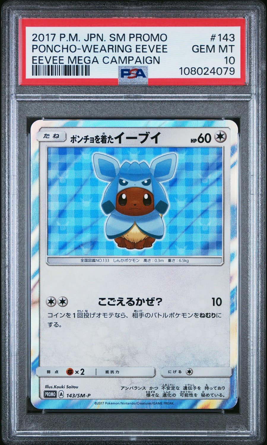 Poncho-Wearing Eevee