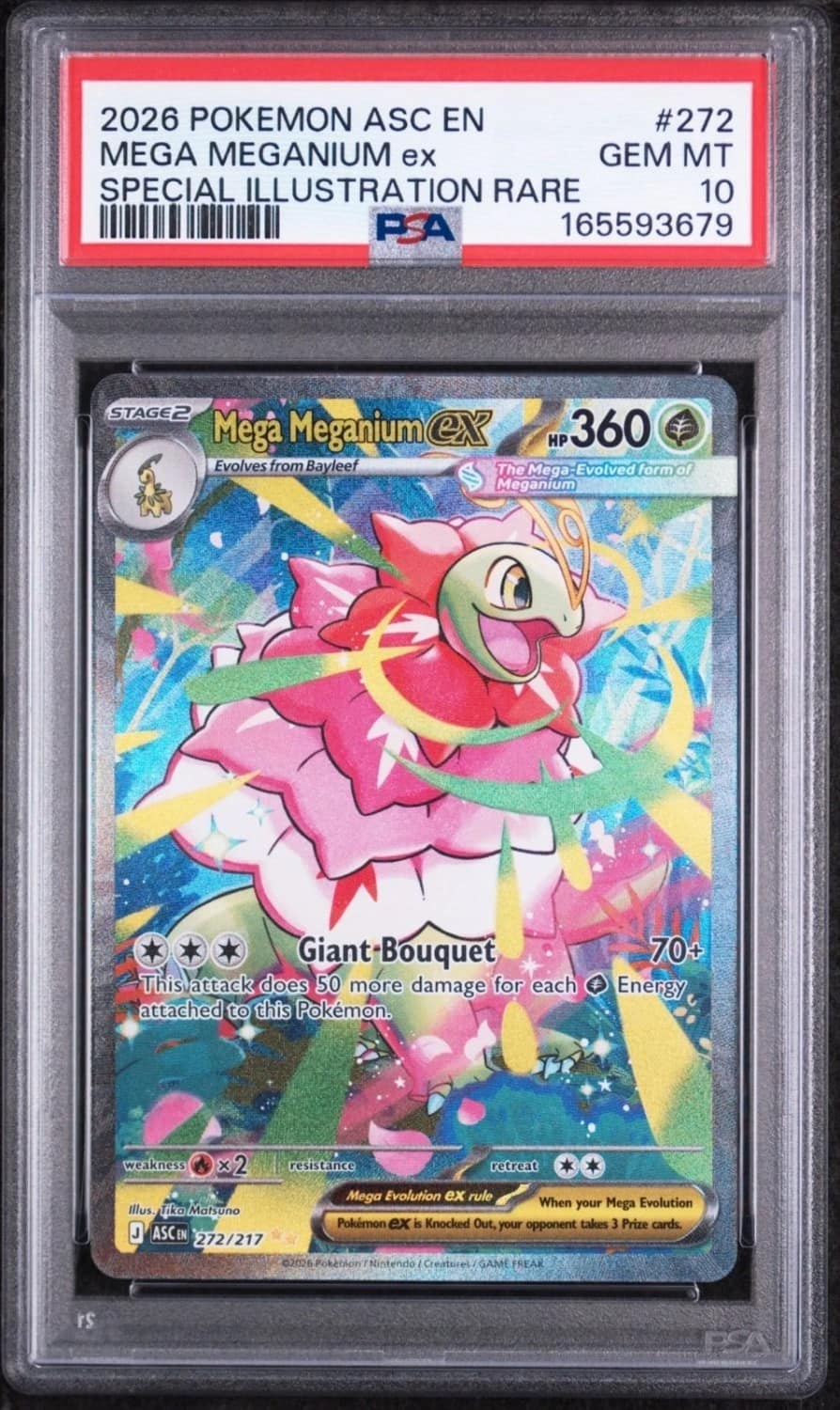 Mega Meganium Ex