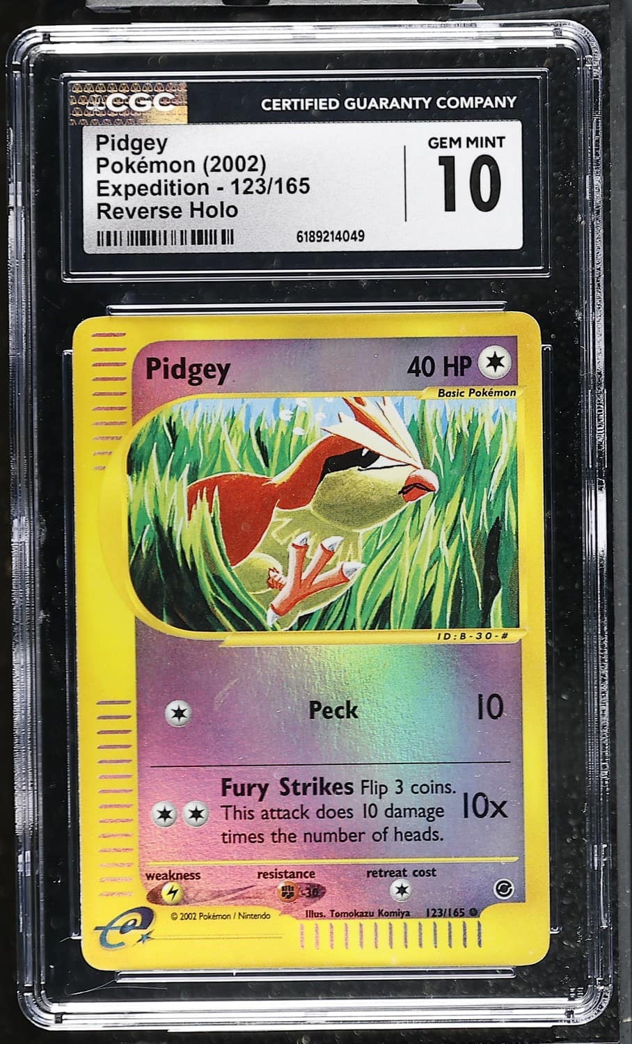 Pidgey