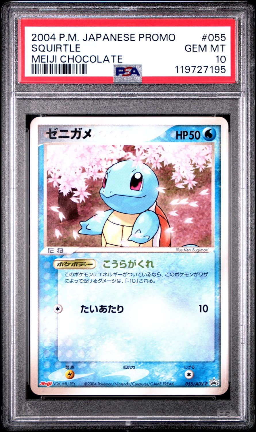 Squirtle