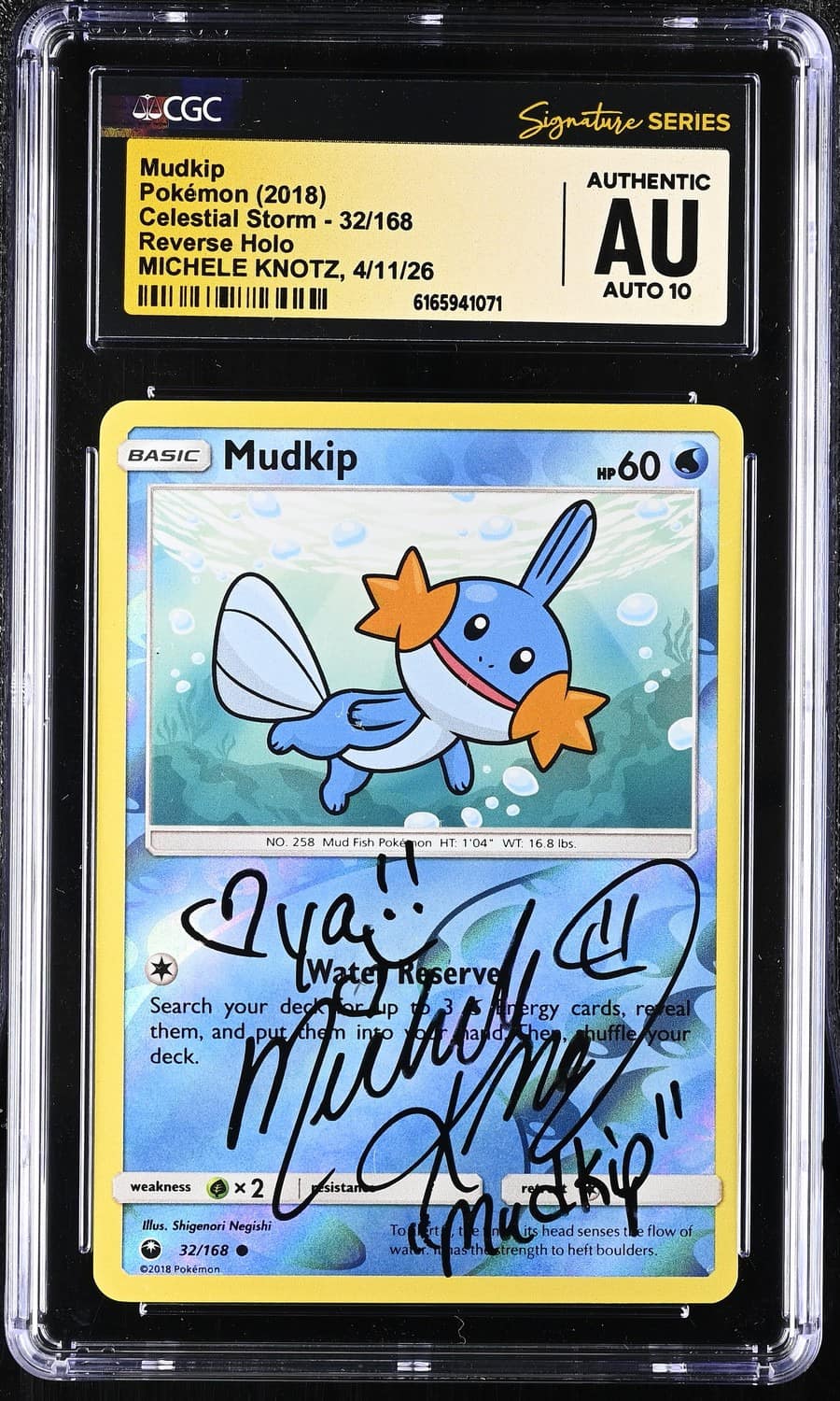 Mudkip