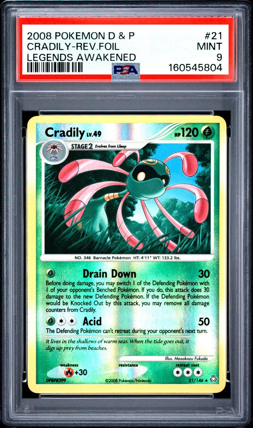 Cradily