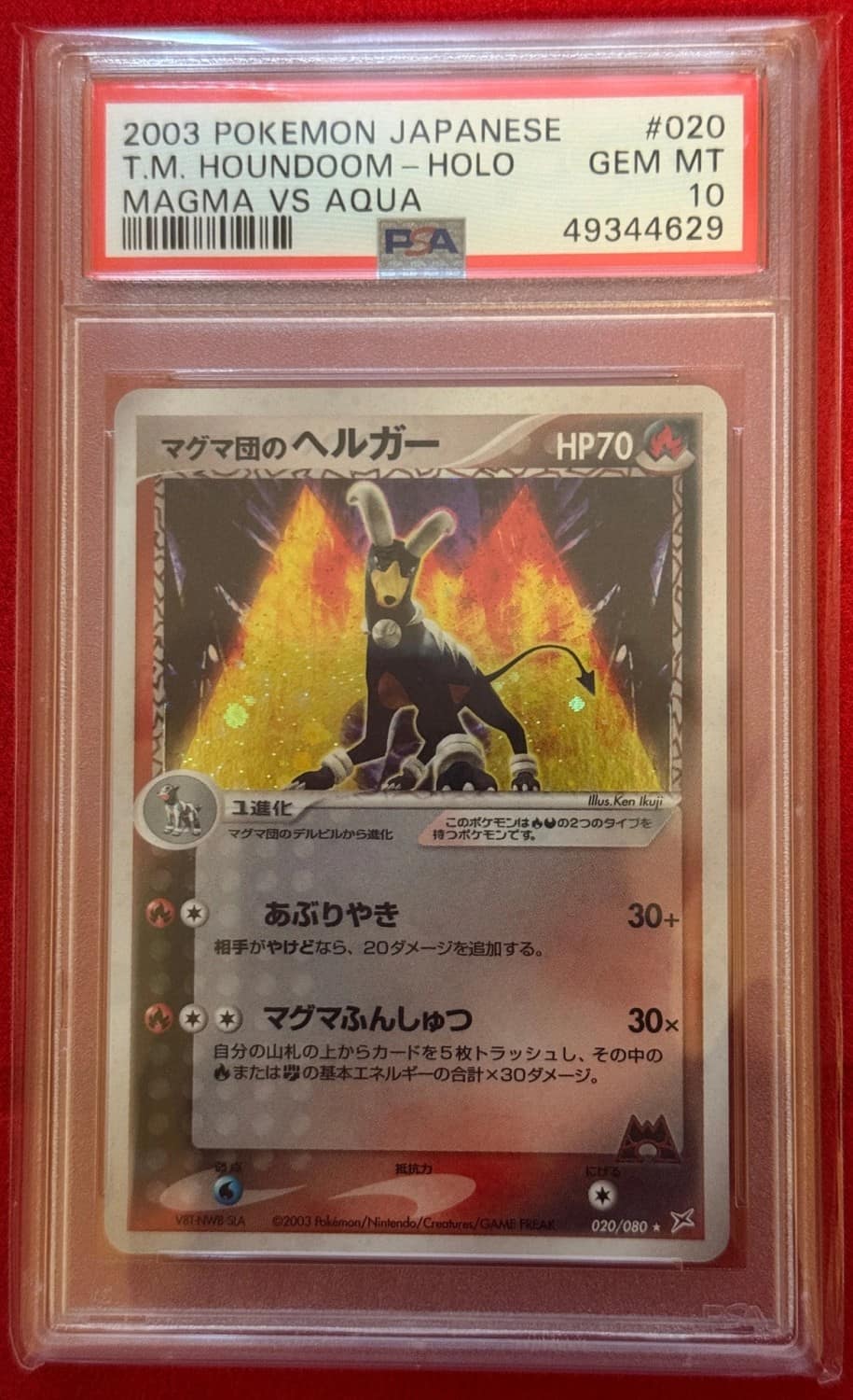 Magma'S Houndoom