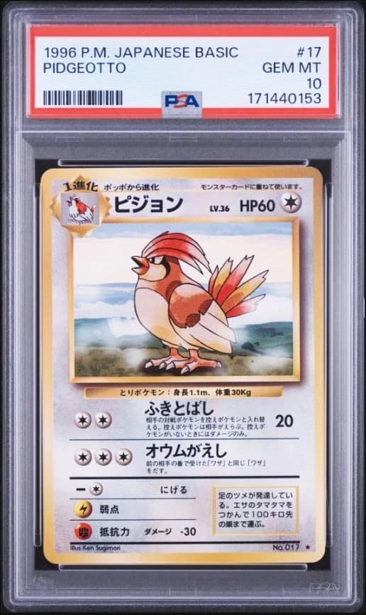 Pidgeotto