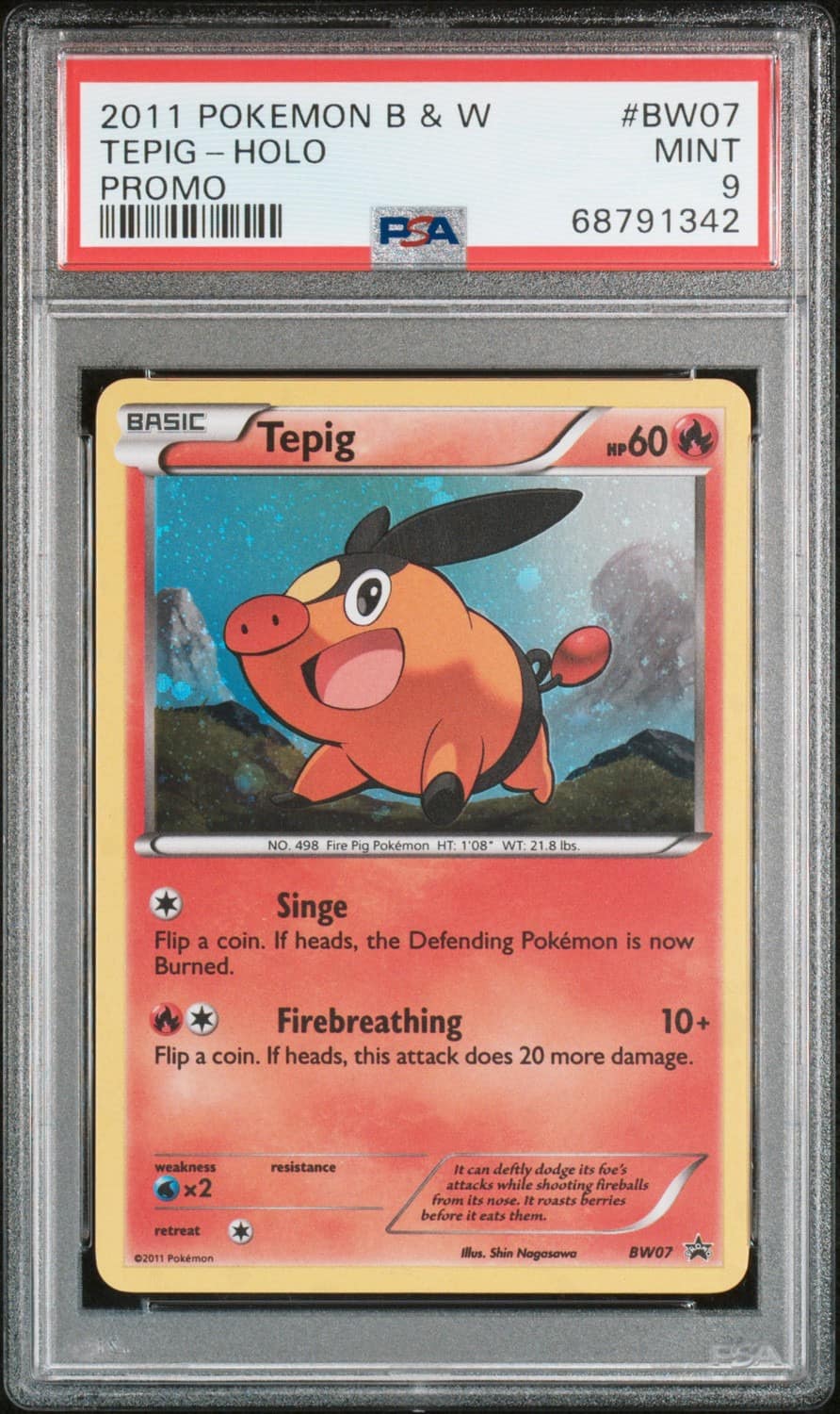 Tepig