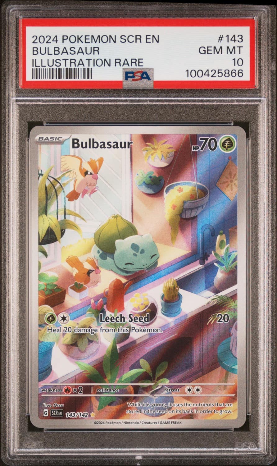 Bulbasaur