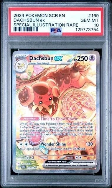 Dachsbun Ex