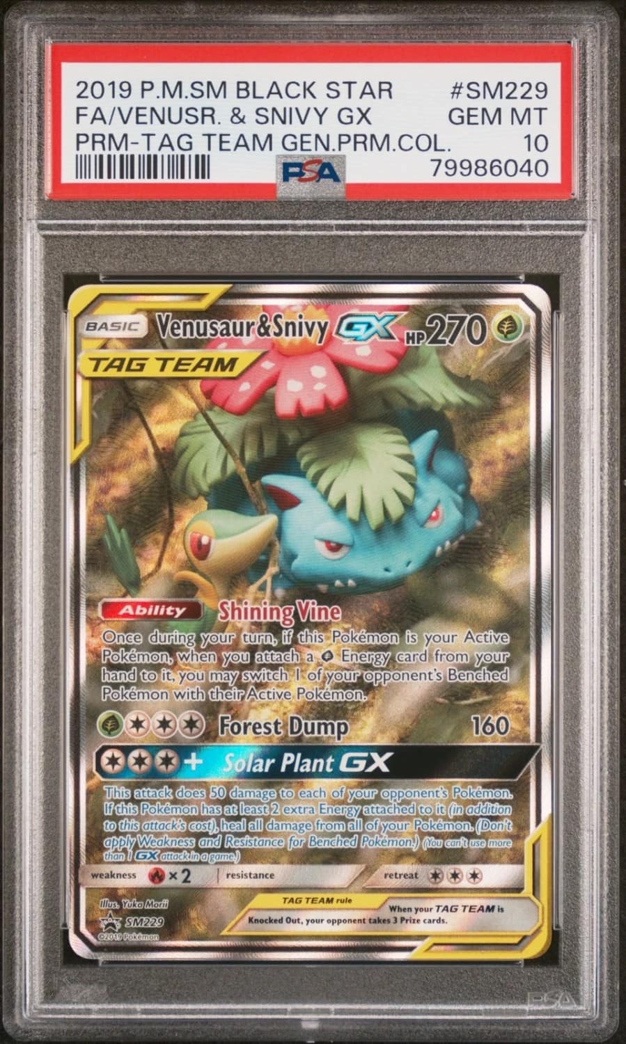 Venusaur & Snivy Gx