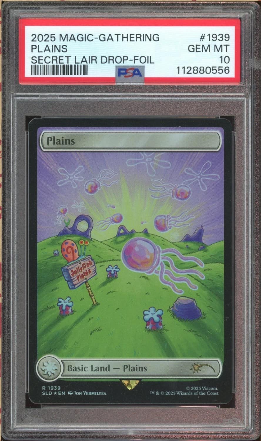 Plains