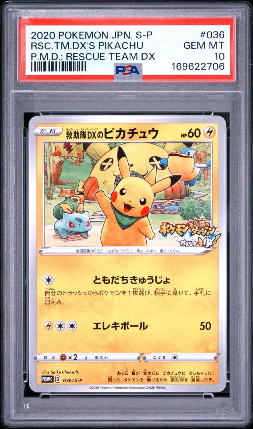 Rescue Team Dx'S Pikachu