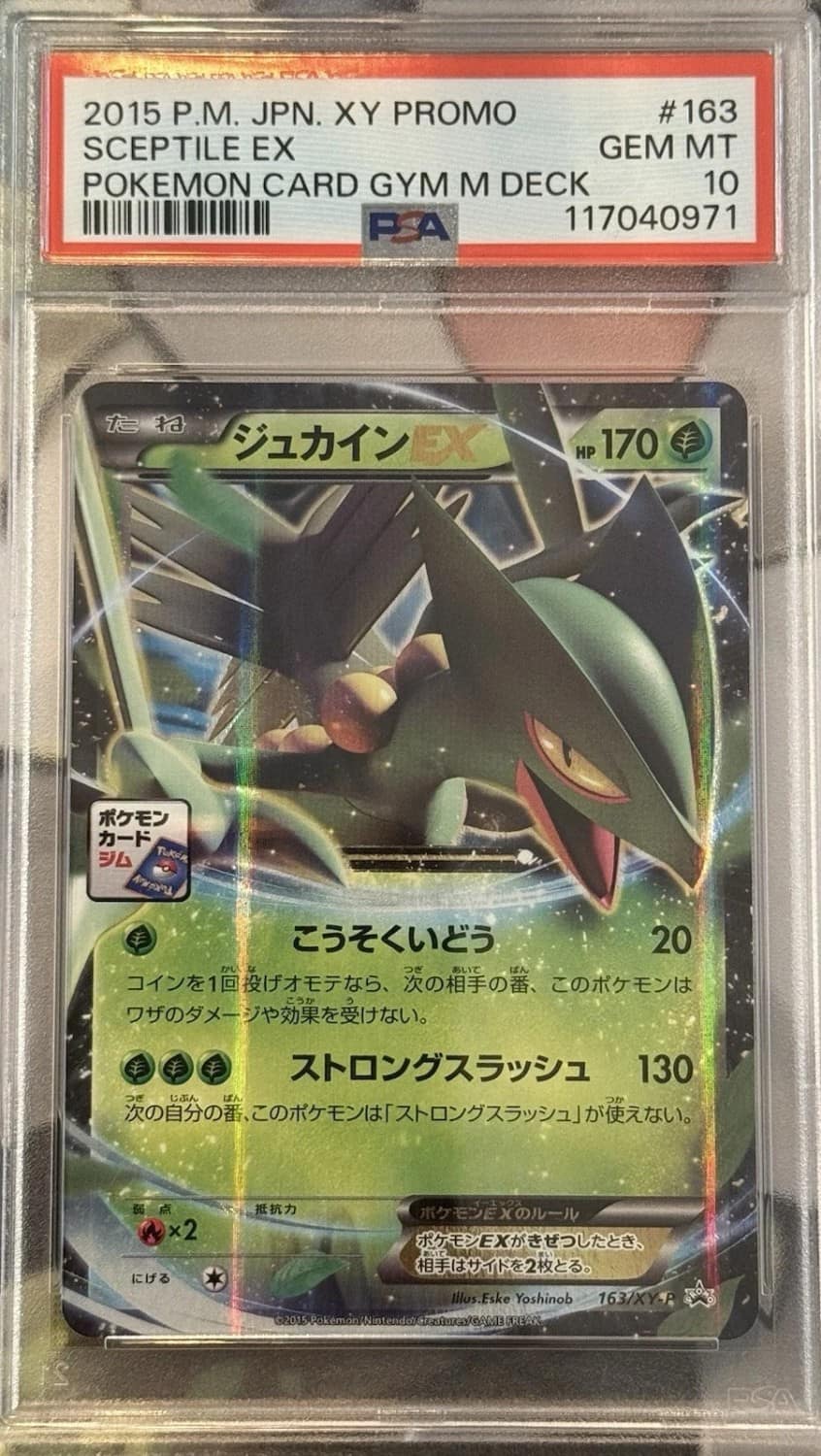 Sceptile Ex