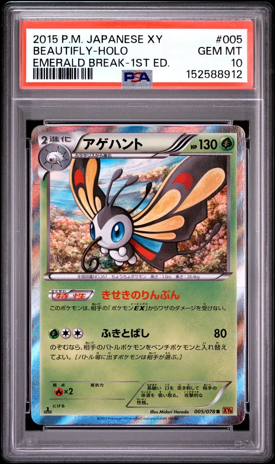 Beautifly