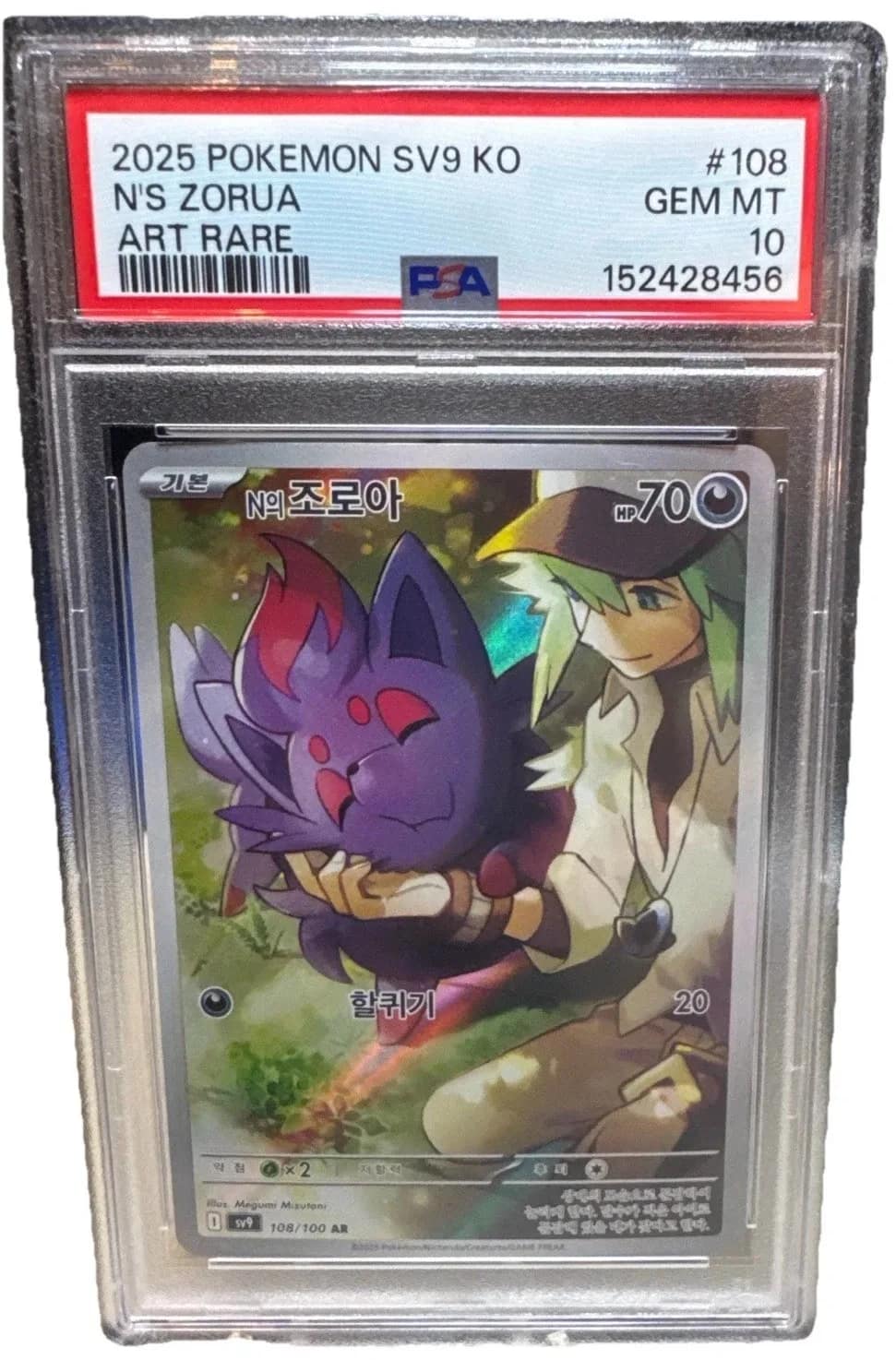 N'S Zorua