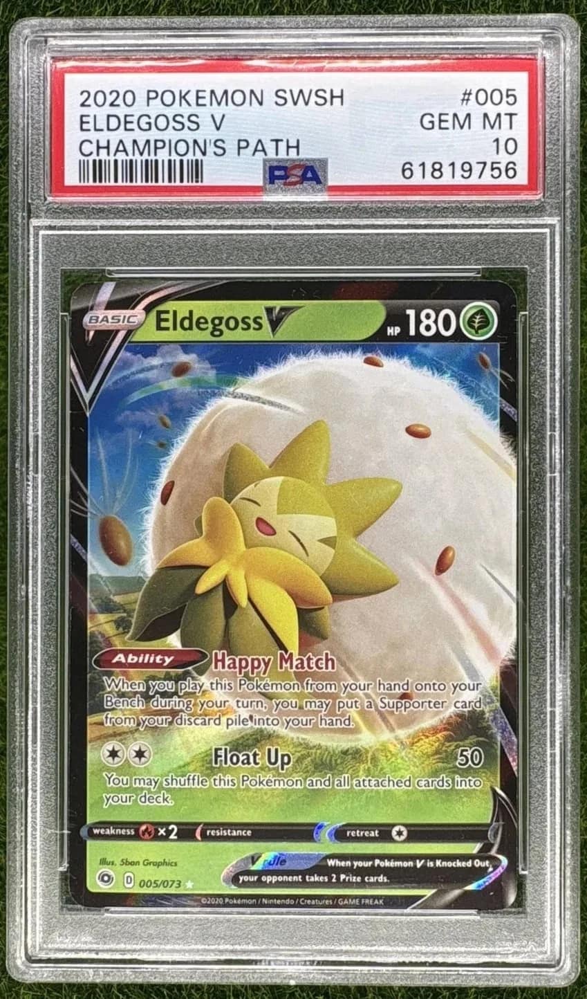 Eldegoss V
