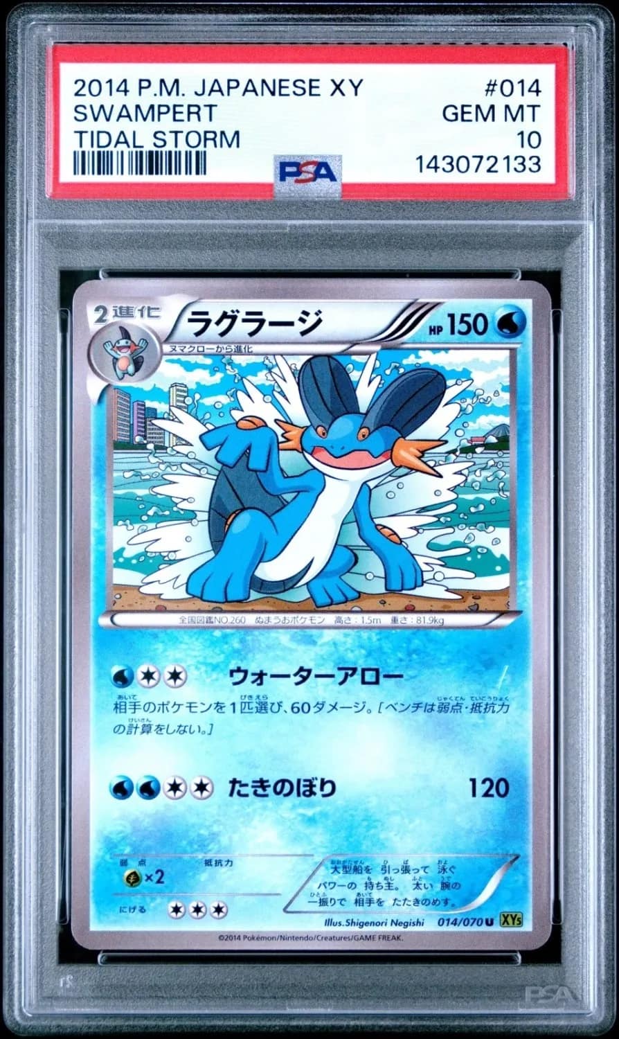 Swampert