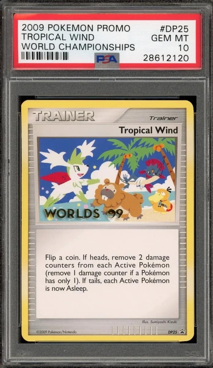 Tropical Wind