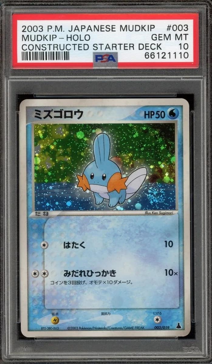 Mudkip
