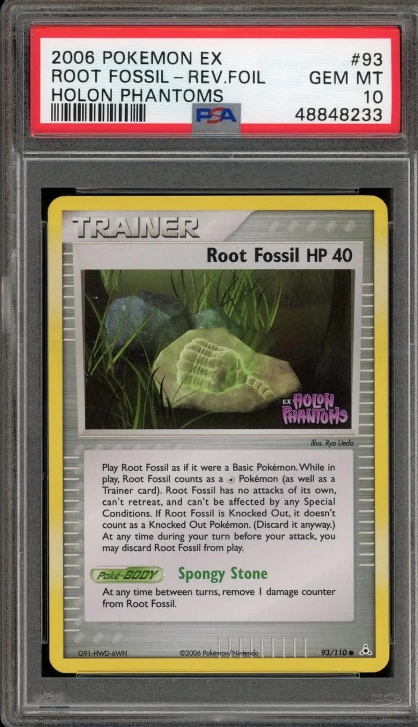 Root Fossil