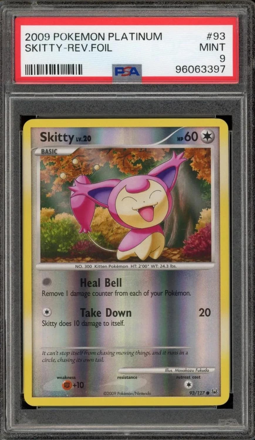 Skitty