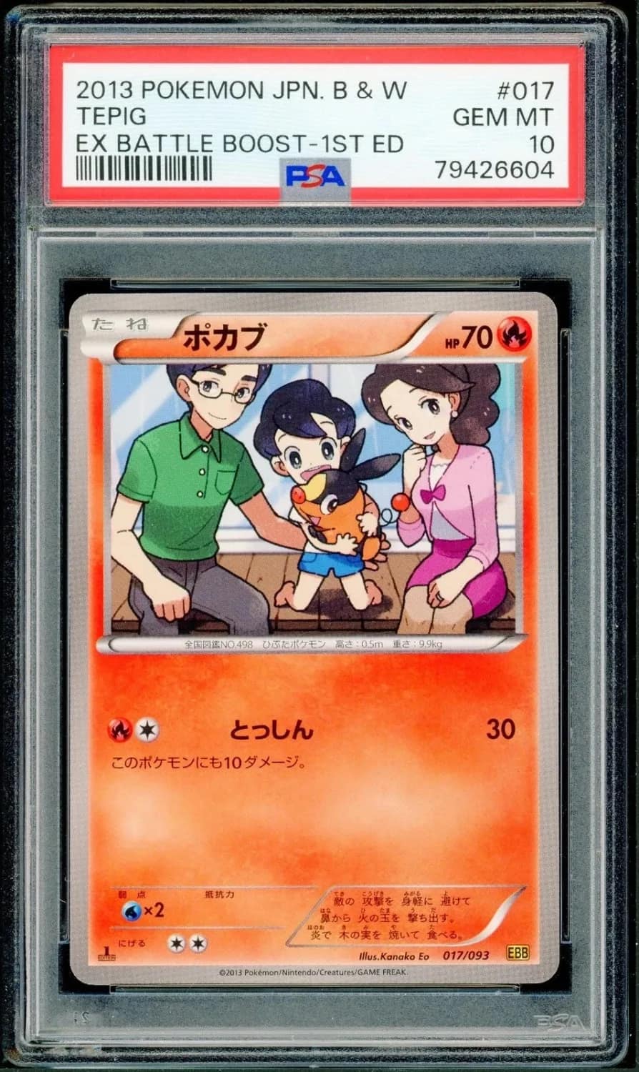 Tepig