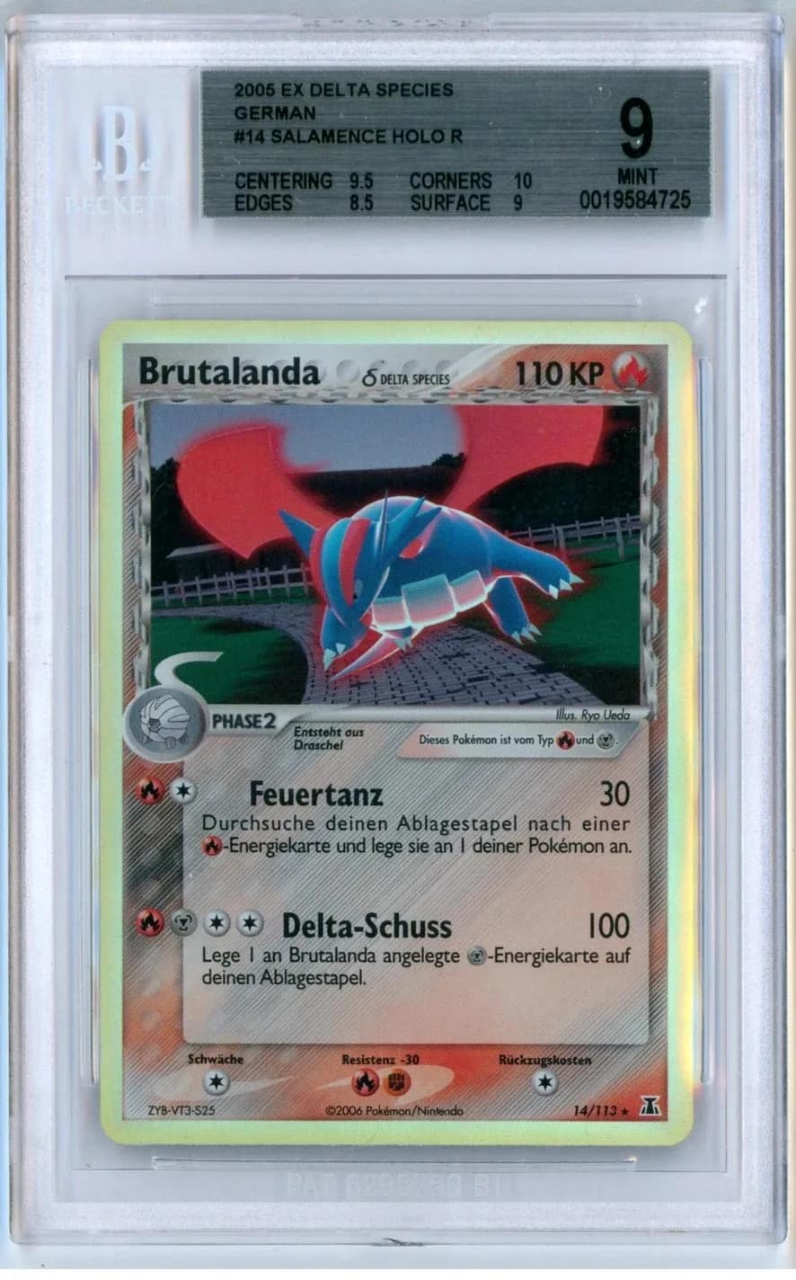 Salamence Holo R
