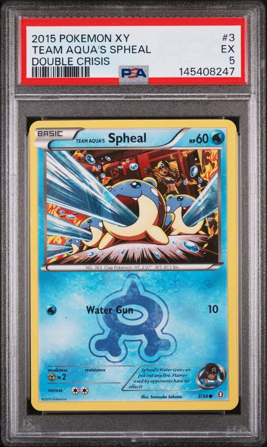 Team Aqua'S Spheal