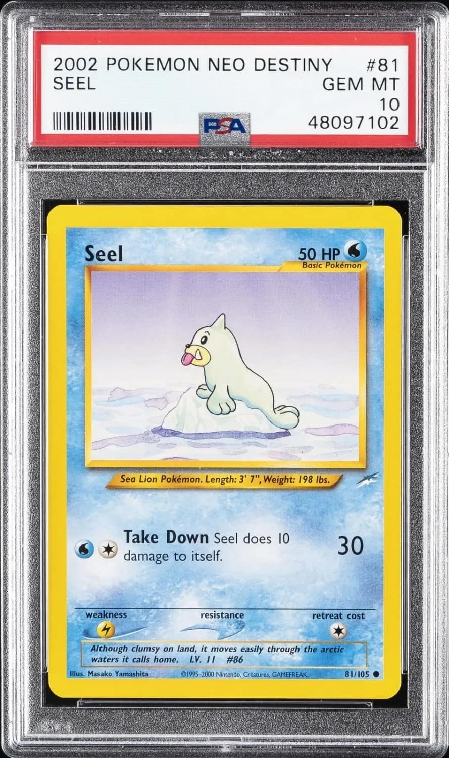 Seel