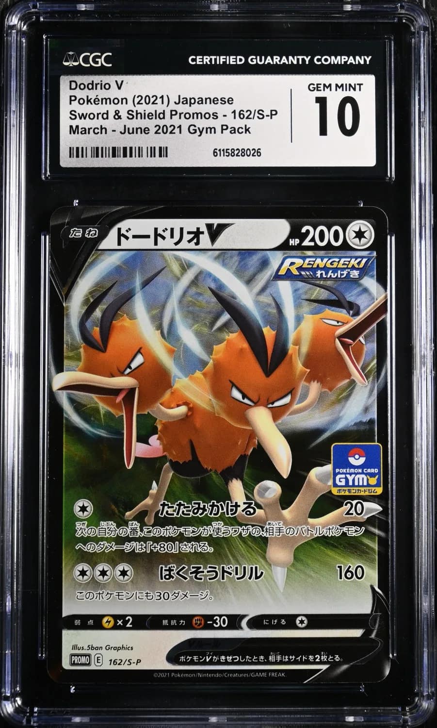 Dodrio V