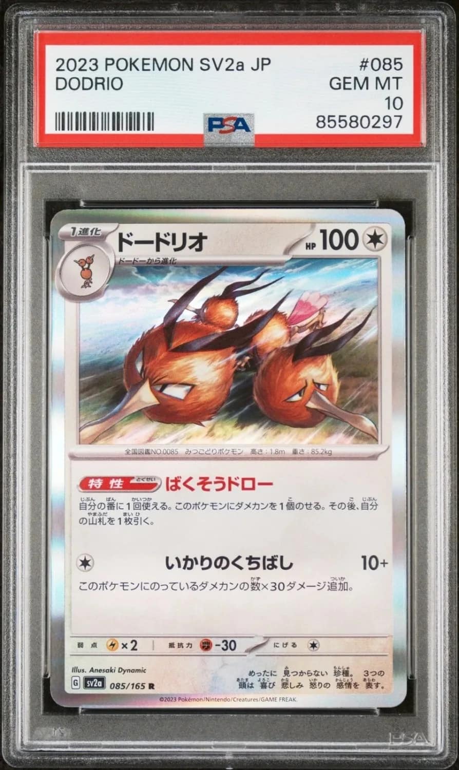Dodrio