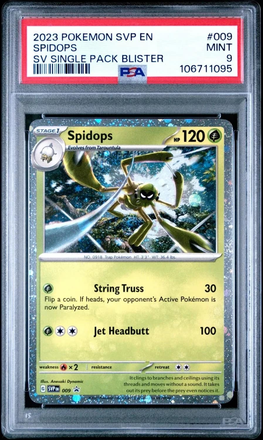 Spidops