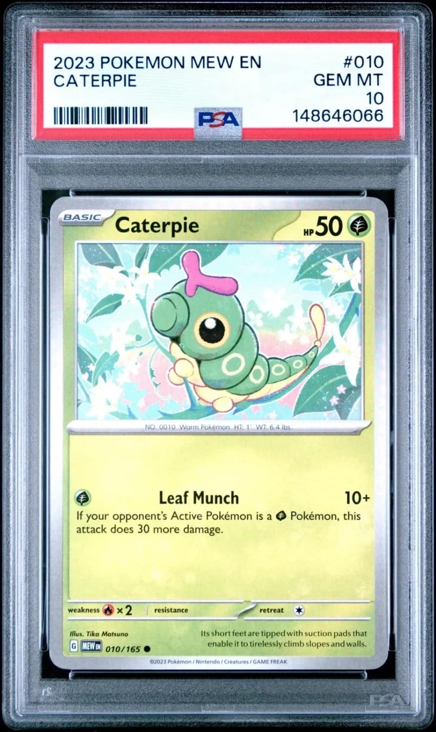 Caterpie