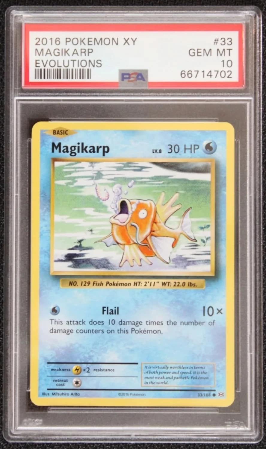 Magikarp