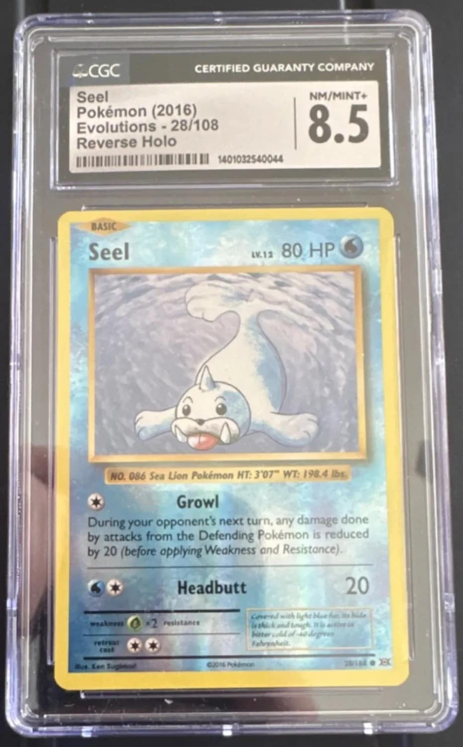 Seel