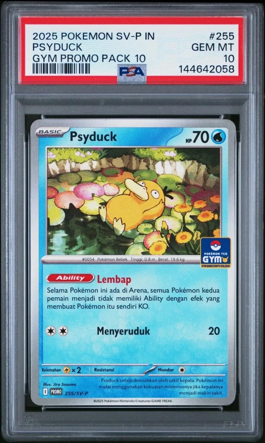 Psyduck