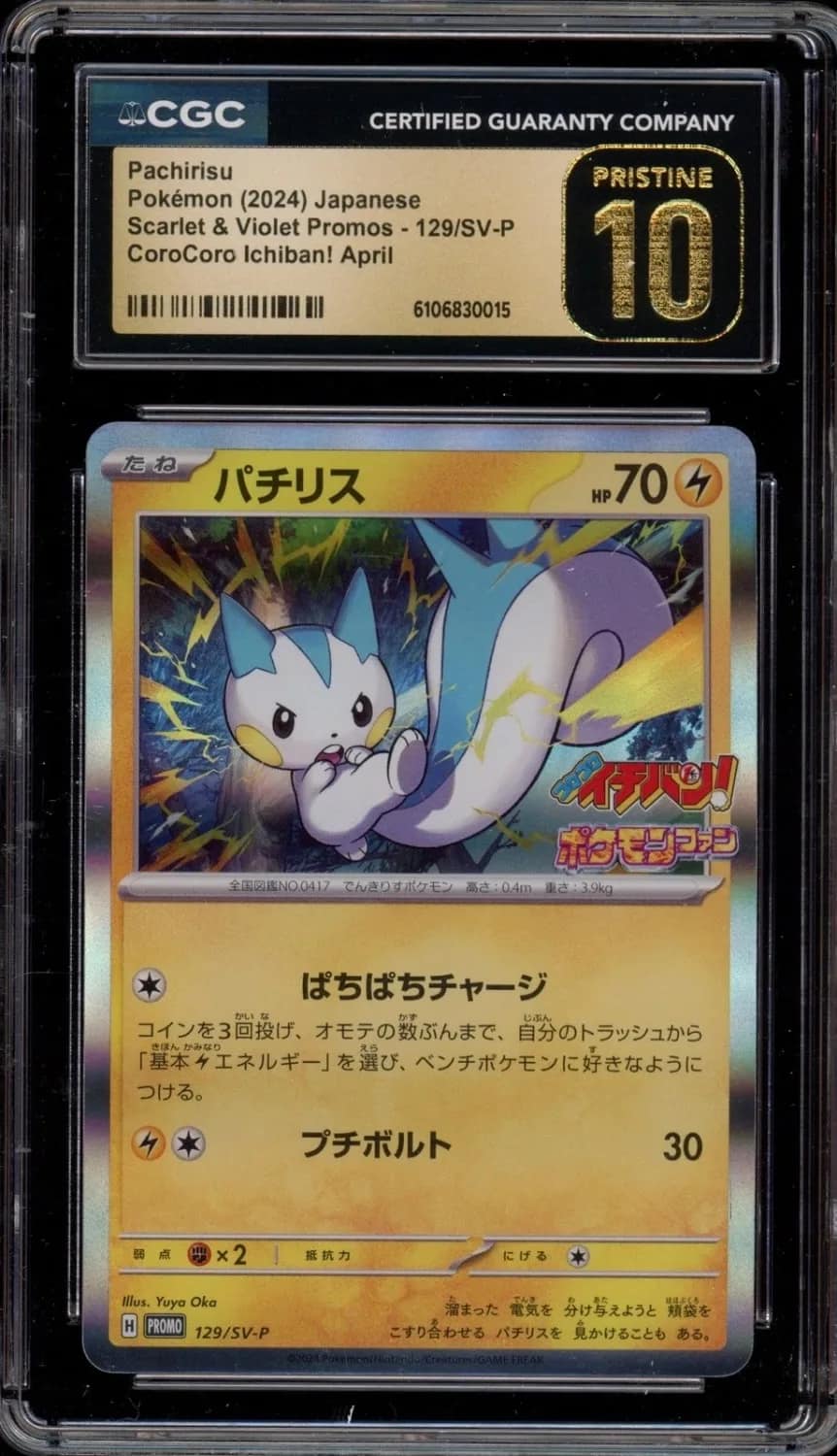 Pachirisu