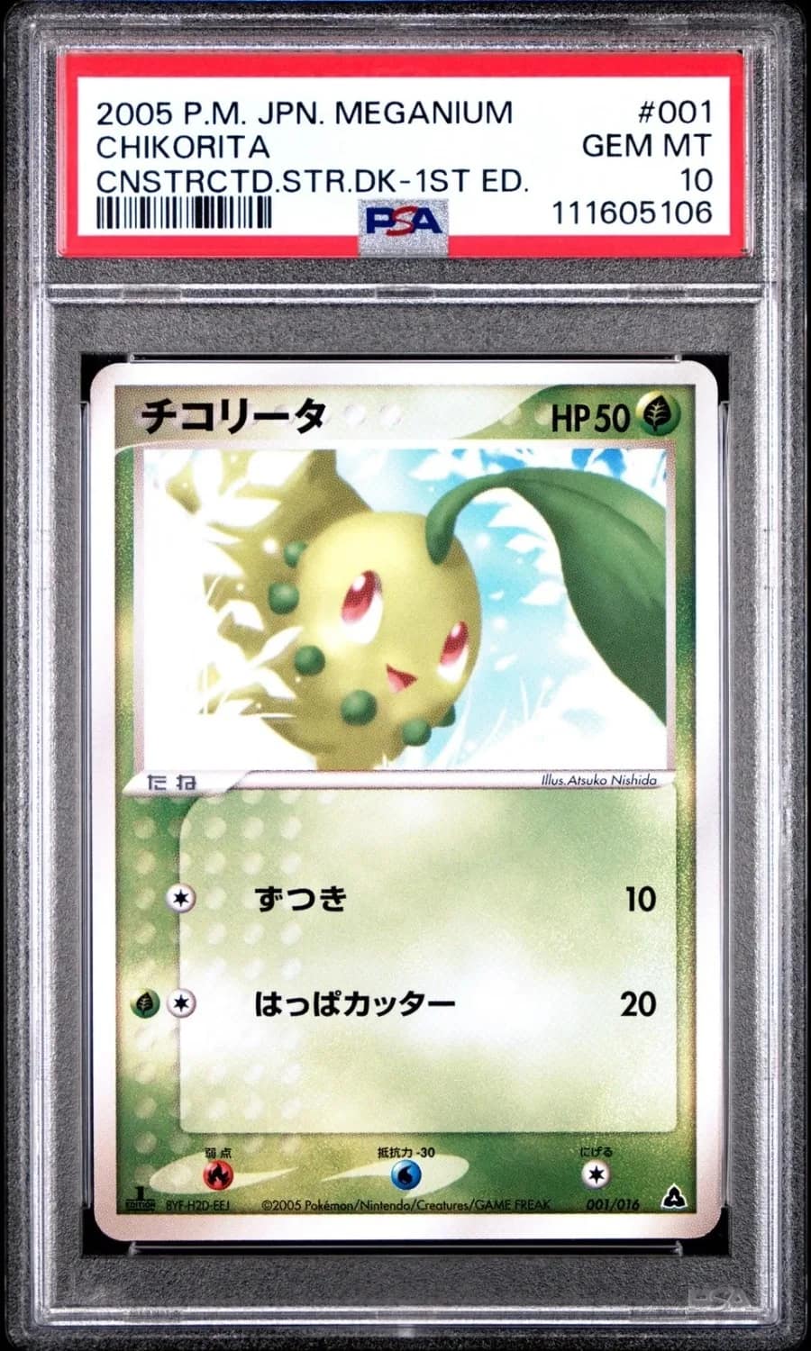 Chikorita