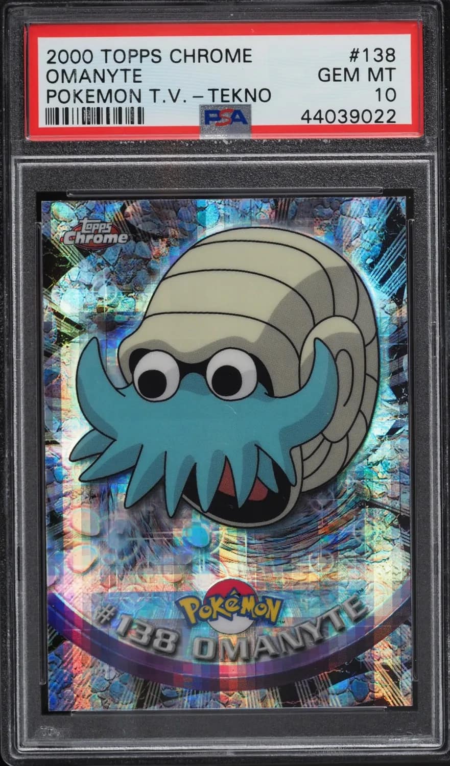 Omanyte