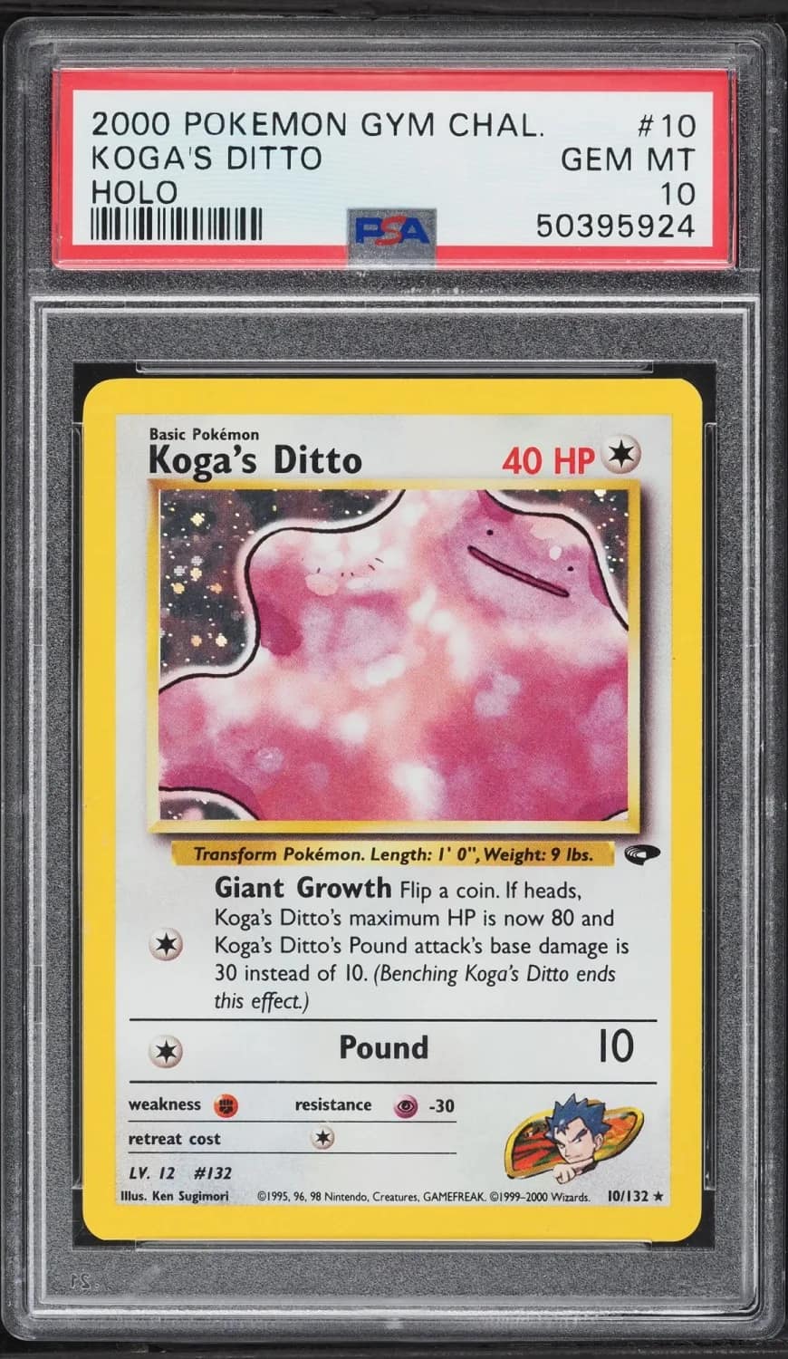 Koga'S Ditto