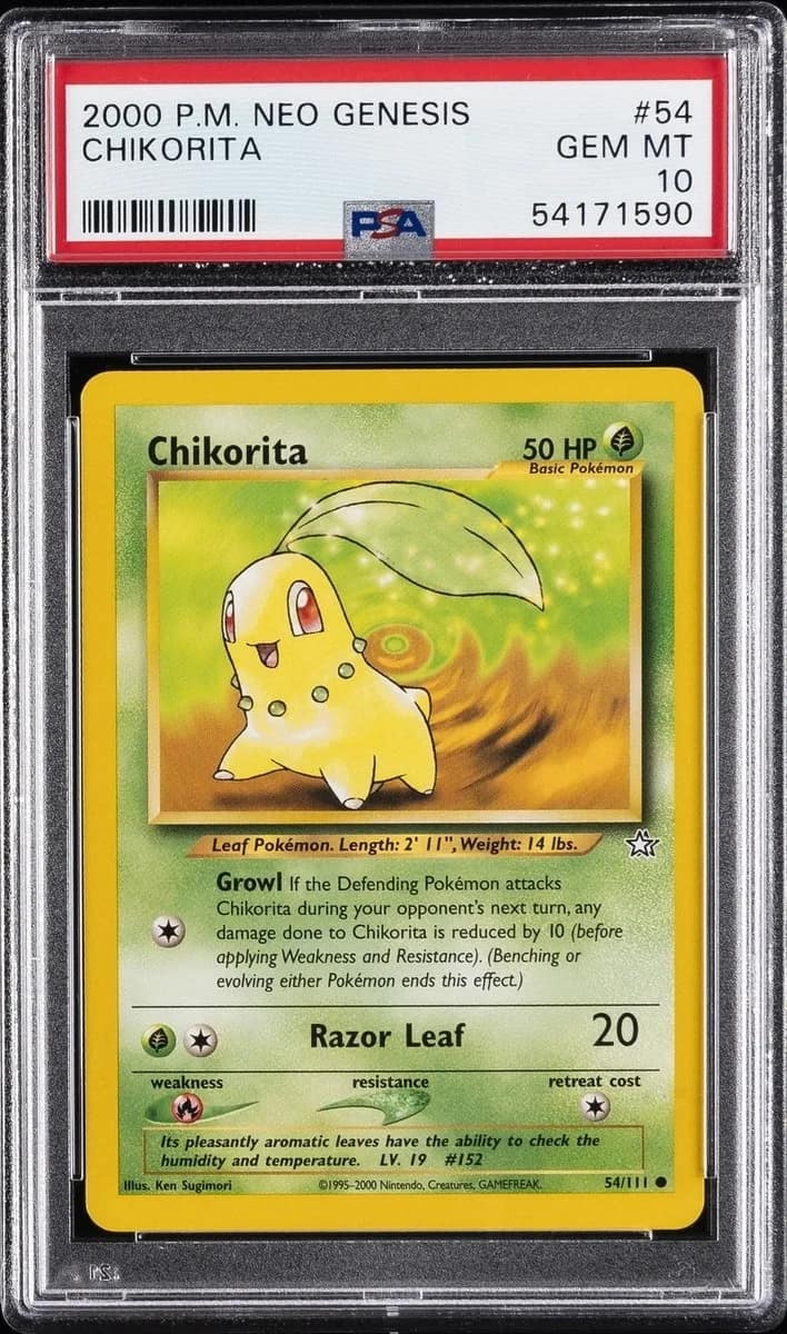 Chikorita