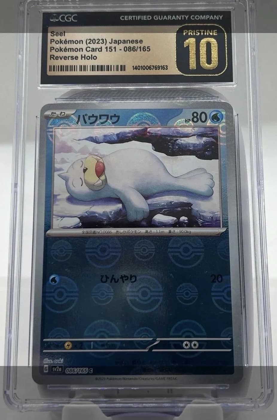 Seel