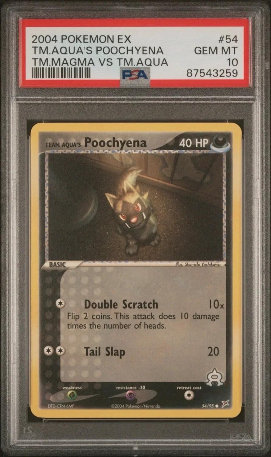 Aqua'S Poochyena
