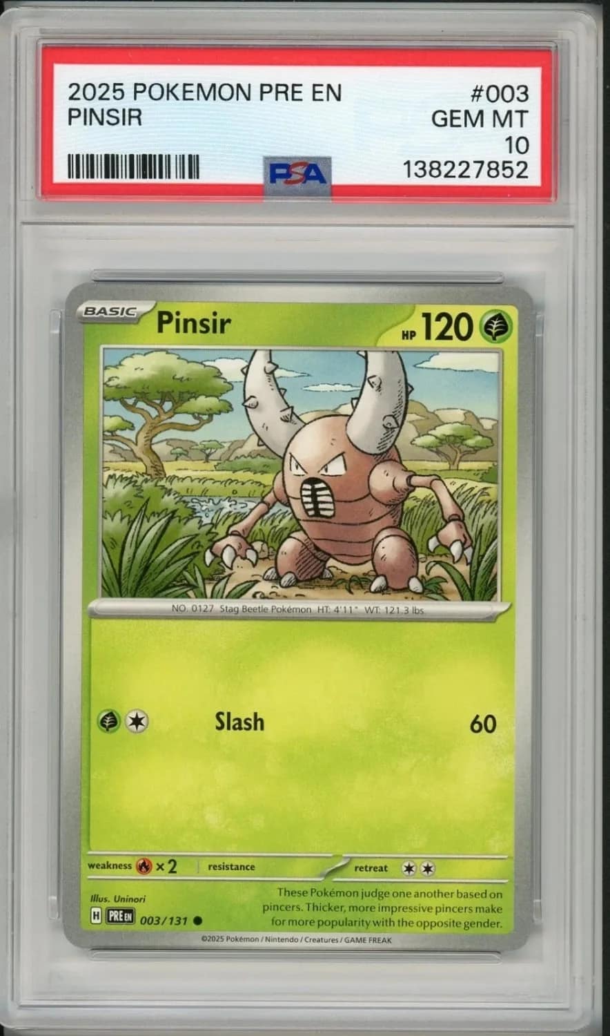 Pinsir
