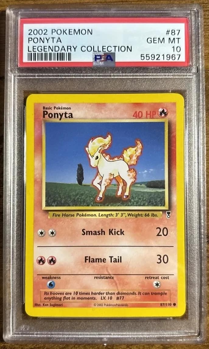 Ponyta
