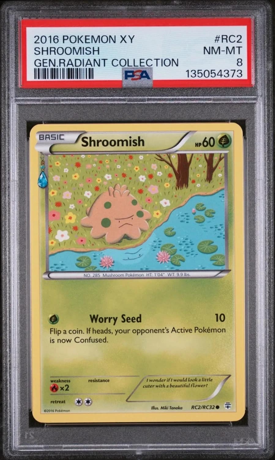 Shroomish