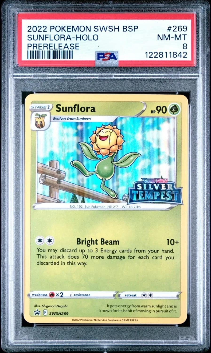 Sunflora