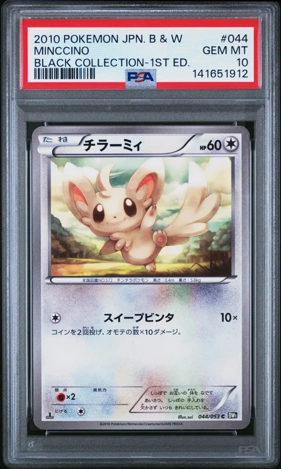 Minccino