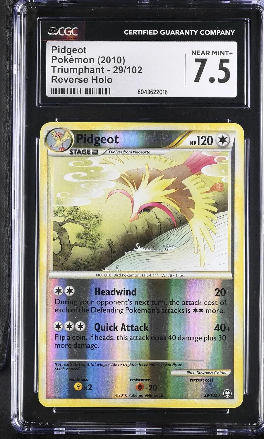 Pidgeot
