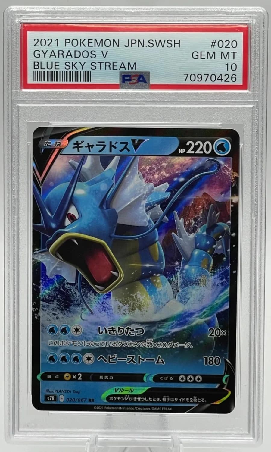 Gyarados V
