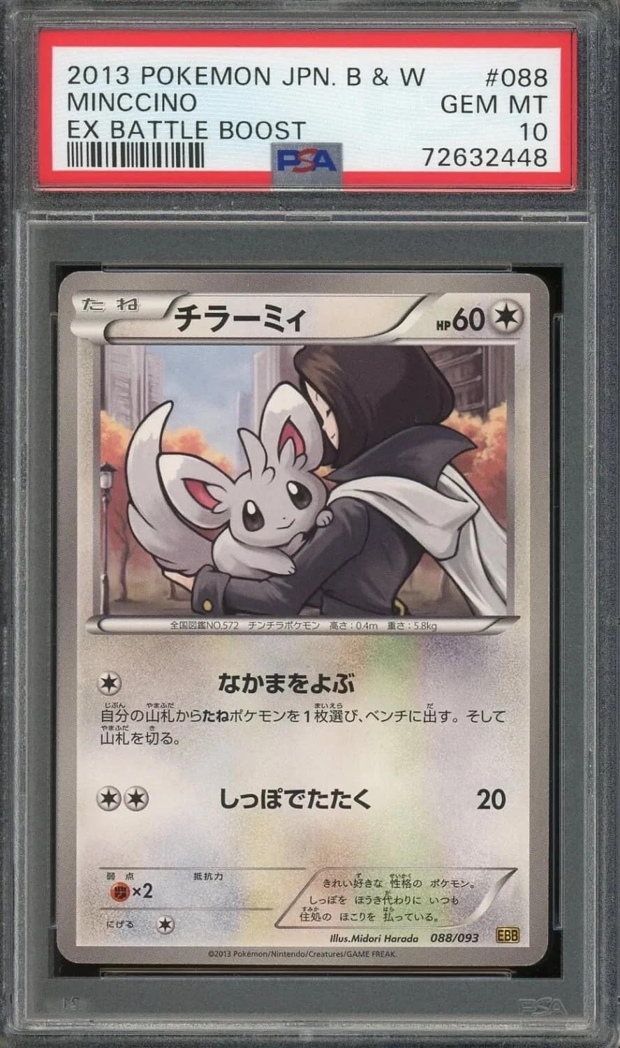 Minccino